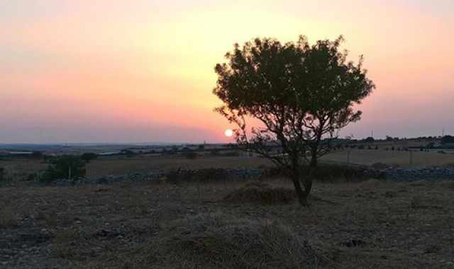 Cassano, nella foresta Mercadante passeggiata e escursione al chiaro di luna